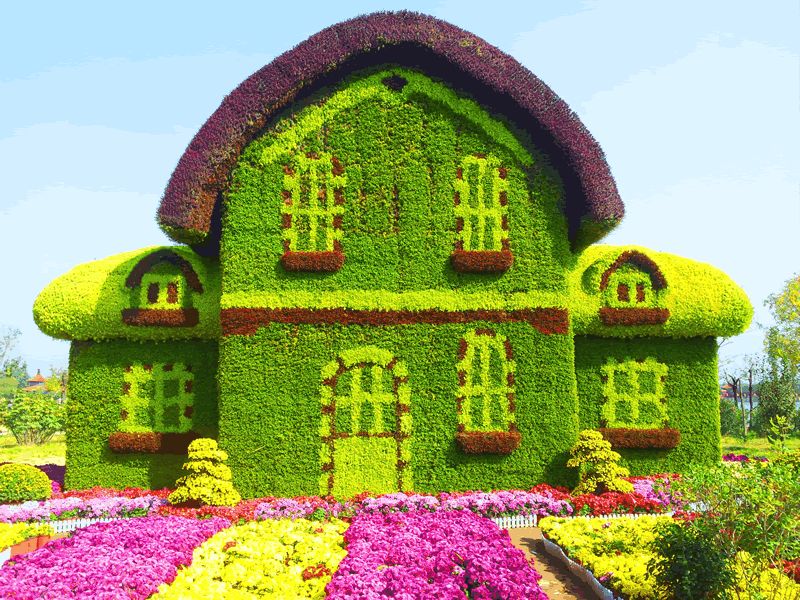 菊花造型房子
